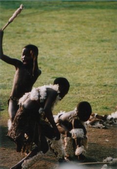 Danses Zoulous