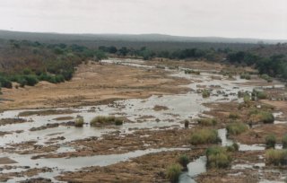 Riviere