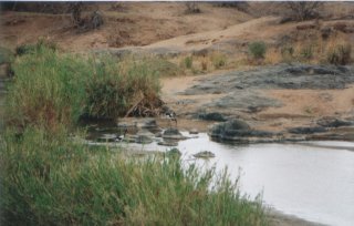 Rivière