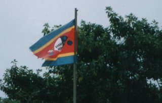 Drapeau du Swazi